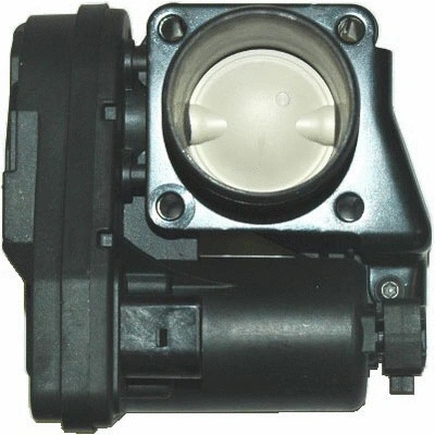 Throttle Body (88.069)