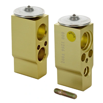 Expansion Valve, air conditioning (4.2024)