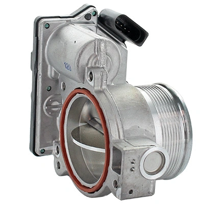Throttle Body (88.320)