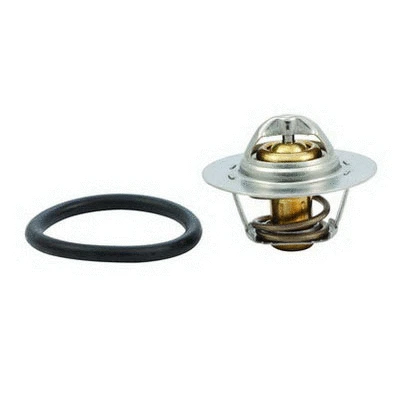 Thermostat, coolant (94.143)