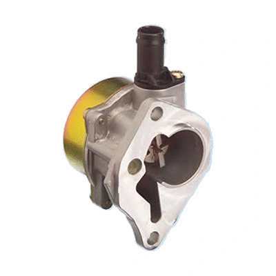 Vacuum Pump, braking system (89.159)