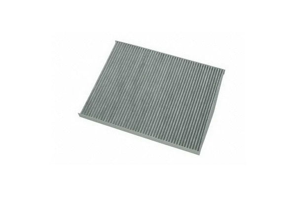 Filter, cabin air (591)
