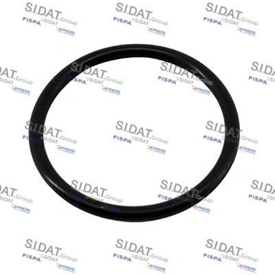 Seal, thermostat (94.01665)