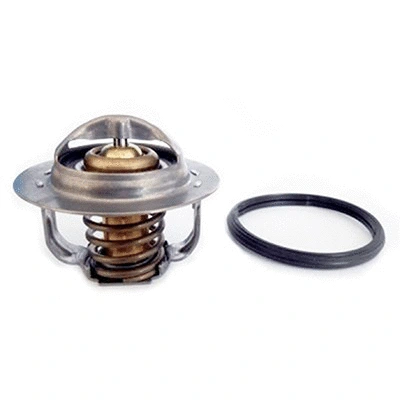 Thermostat, coolant (94.838)