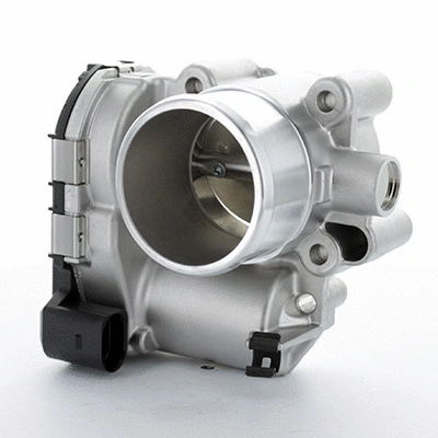 Throttle Body (88.221)