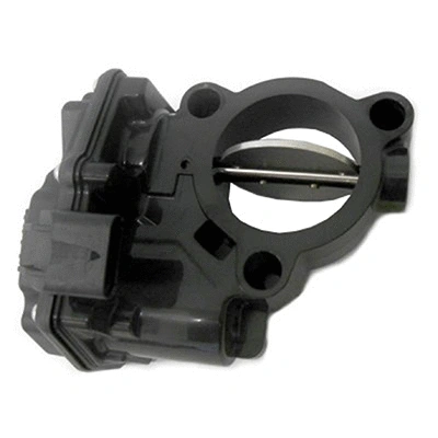 Throttle Body (88.262)