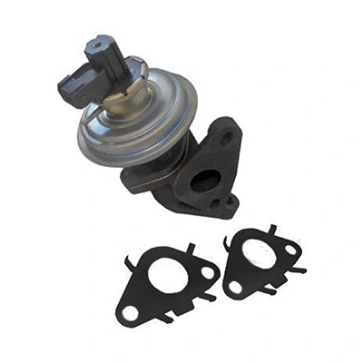 EGR Valve (83.1437)