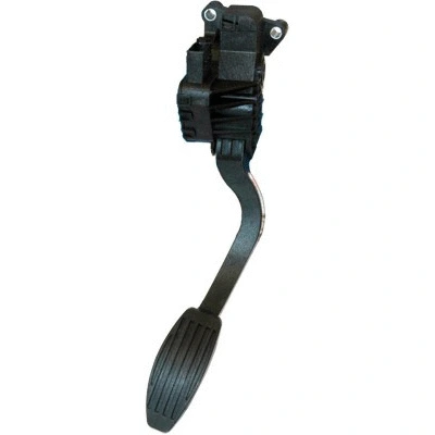 Accelerator Pedal Unit (84.405)