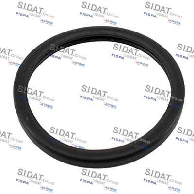 Seal, thermostat (94.016116)