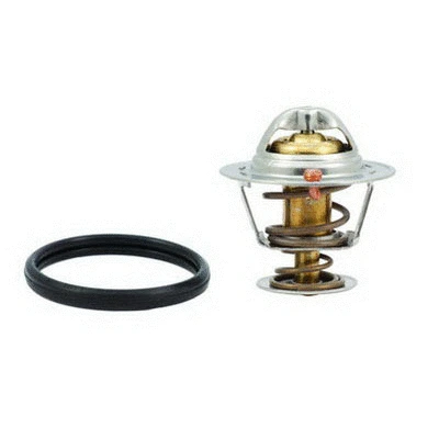 Thermostat, coolant (94.202)