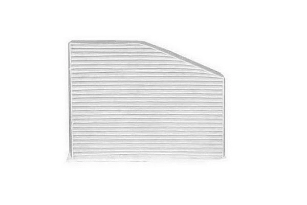Filter, cabin air (113)