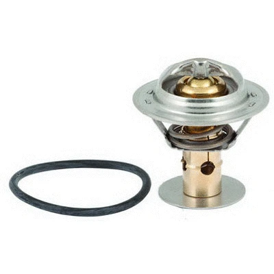 Thermostat, coolant (94.419)