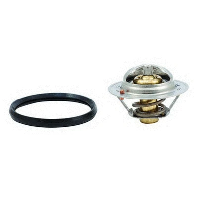 Thermostat, coolant (94.631)