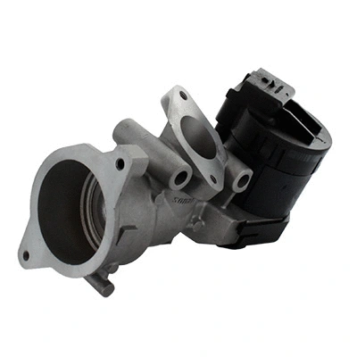 EGR Valve (83.823R)
