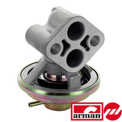 EGR Valve (83.1146AS)