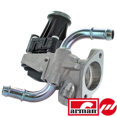 EGR Valve (83.1318AS)