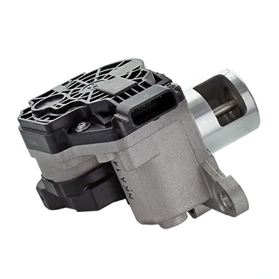 EGR Valve (83.1695)