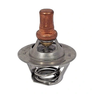 Thermostat, coolant (94.247)