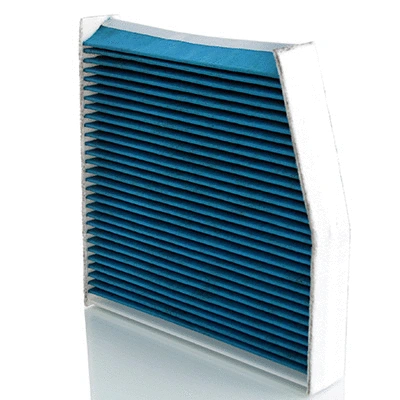Filter, cabin air (BL955)