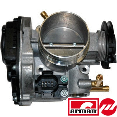 Throttle Body (88.095AS)