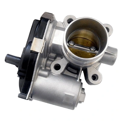 Throttle Body (88.271)