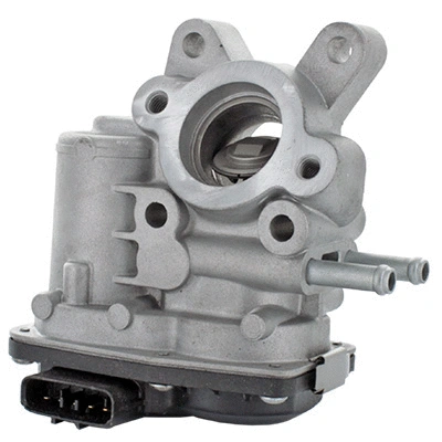 EGR Valve (83.1017R)