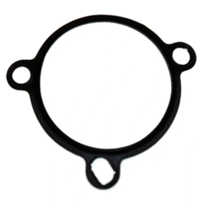 Gasket, EGR valve (83.01604)