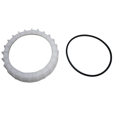 Seal, fuel tank cap (73116)