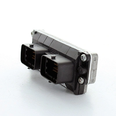 Control Unit, engine management (2.43106)