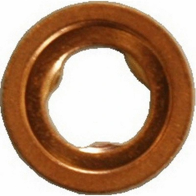 Seal Ring, nozzle holder (81.069)