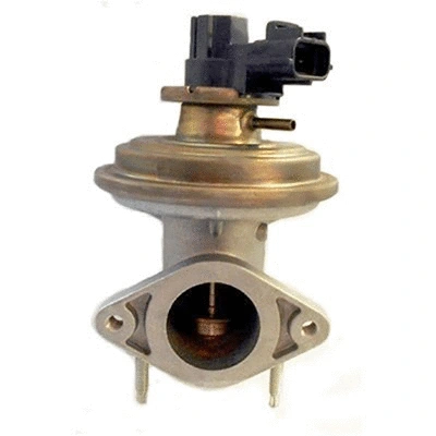 EGR Valve (83.1154)