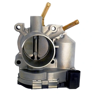 Throttle Body (88.234)