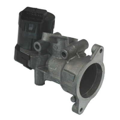 EGR Valve (83.823AS)