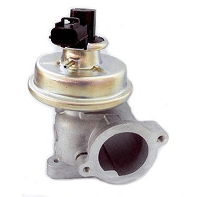 EGR Valve (83.1149)