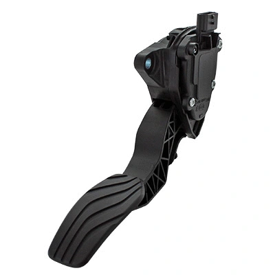 Accelerator Pedal Unit (84.2138)