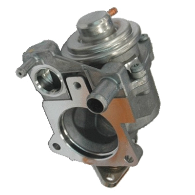 EGR Valve (83.822)