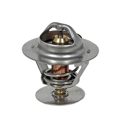 Thermostat, coolant (94.321)