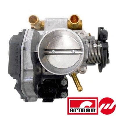 Throttle Body (88.296AS)