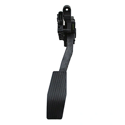 Accelerator Pedal Unit (84.2232)