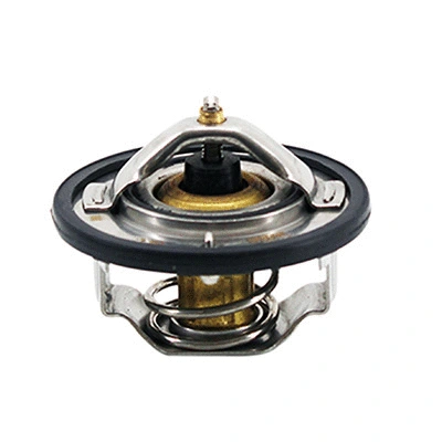 Thermostat, coolant (94.924)