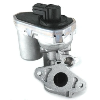 EGR Valve (83.829)