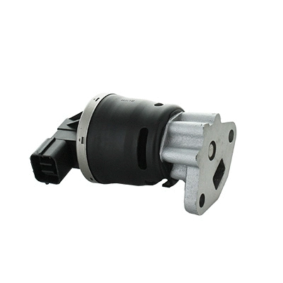 EGR Valve (83.1130R)