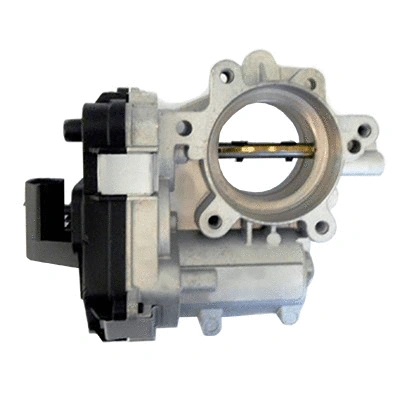 Throttle Body (88.084R)