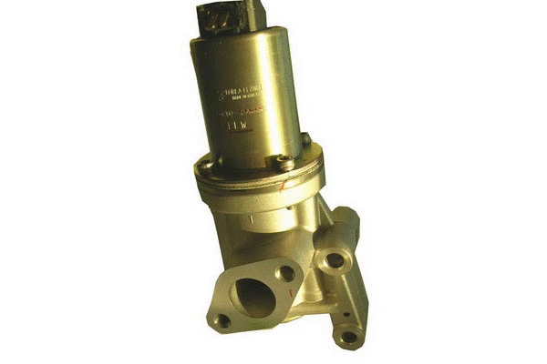 EGR Valve (83.795)
