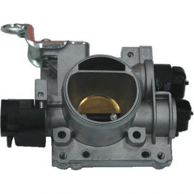 Throttle Body (88.065)