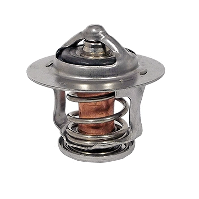 Thermostat, coolant (94.141)