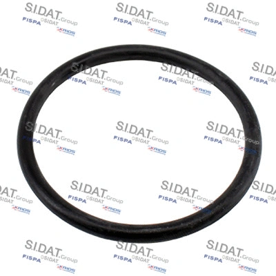 Seal, thermostat (94.01661)