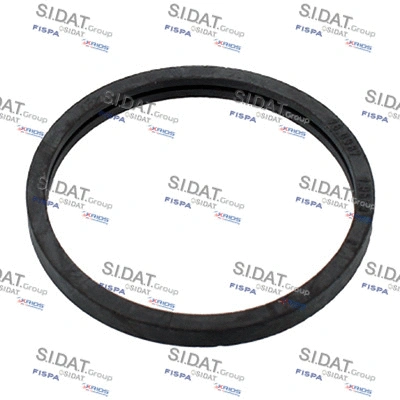 Seal, thermostat (94.016102)