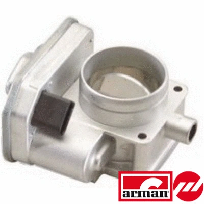 Throttle Body (88.038AS)