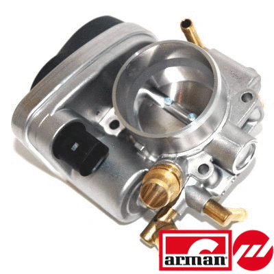 Throttle Body (88.170AS)